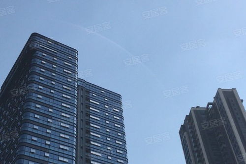 金地壹粤府综合评析 优势、不足与市场口碑